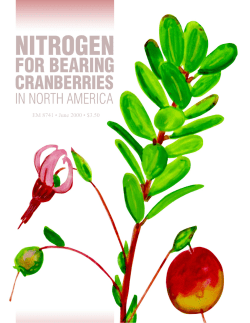 Nitrogen for Bearing Cranberries in North America
