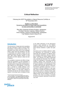 Dynamics and effects of large-scale land