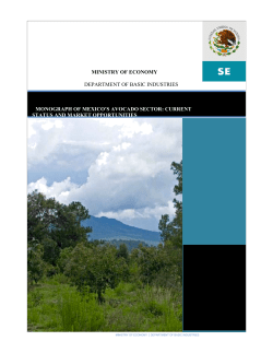 ministry of economy department of basic industries monograph of