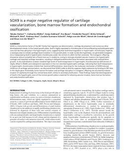 SOX9 is a major negative regulator of cartilage