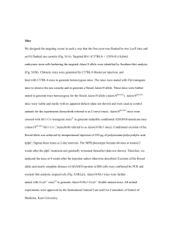 Mice We designed the targeting vector in such a way that the first