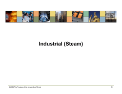 Industrial (Steam)