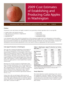 2009 Cost Estimates of Establishing and Producing Gala Apples in