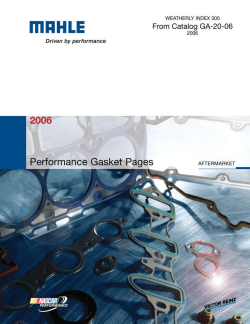 Custom Performance - MAHLE Aftermarket North America