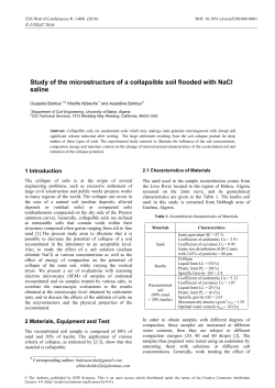 Study of the microstructure of a collapsible soil flooded with NaCl