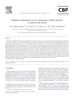 Metabolic adjustments in two Amazonian cichlids exposed to