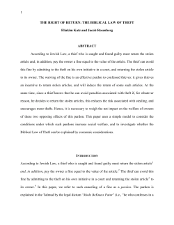 Amnesty in the Case of Confessed Theft: An Economic Interpretation