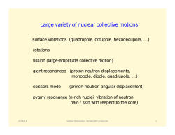 Large variety of nuclear collective motions