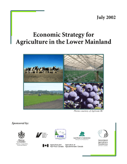 An Economic Strategy for Agriculture in the