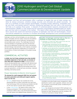 2010 Hydrogen and Fuel Cell Global Commercialization