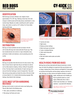 Bed Bugs - BASF Pest Control Solutions