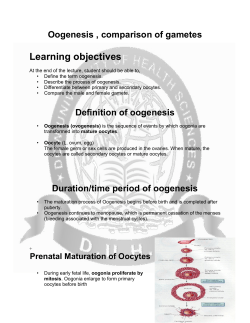 Oogenesis , Prenatal and Postnatal maturation of oocytes