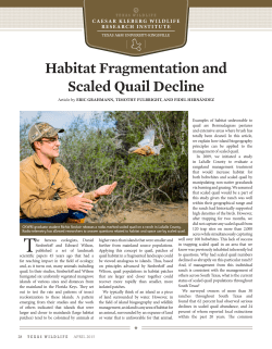 Publication - Caesar Kleberg Wildlife Research Institute