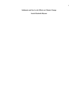 Sea Levels and Sediments` Effect On Climate Change