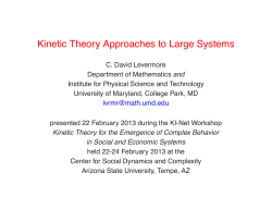 Kinetic Theory Approaches to Large Systems