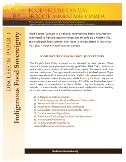 Human Rights Impact Assessment