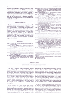 BORAGINACEAE The genus Codon was formally