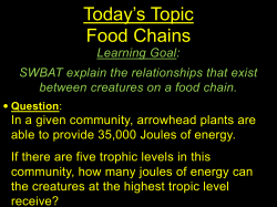 food chain - Verona Public Schools