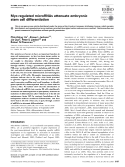 Mycregulated microRNAs attenuate embryonic stem cell differentiation