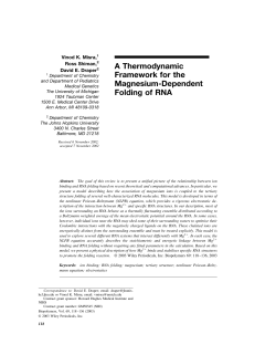 A Thermodynamic Framework for the Magnesium