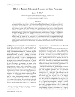 Effect of Teosinte Cytoplasmic Genomes on Maize