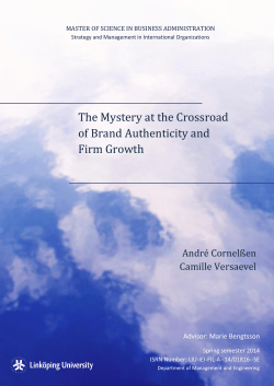 The Mystery at the Crossroad of Brand Authenticity and Firm