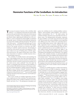 Nonmotor Functions of the Cerebellum: An Introduction