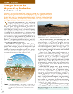 Nitrogen Sources for Organic Crop Production
