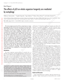 The effects of p53 on whole organism longevity
