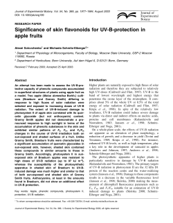 Significance of skin flavonoids for UV‐B‐protection in apple fruits
