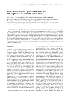 as a PDF