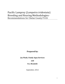 Pacific Lamprey (E. tridentata) Breeding and Rearing Methodologies