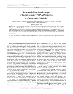 Structural&ndash;Functional Analysis of Bacteriophage T7 RNA Polymerase
