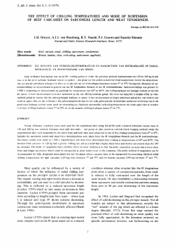 the effect of chilling temperatures and mode of suspension of beef