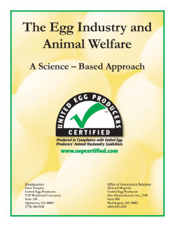 The Egg Industry and Animal Welfare