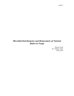 Desiree Leach - Coastal Carolina University