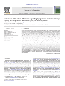 Examination of the role of detritus food quality, phytoplankton