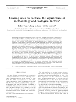 Grazing rates on bacteria: the significance of