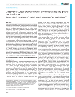 locomotion: gaits and ground reaction forces