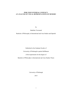 PERU POST-INTERNAL CONFLICT: AN ANALYSIS OF VISUAL