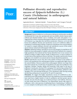 Pollinator diversity and reproductive success of Epipactis