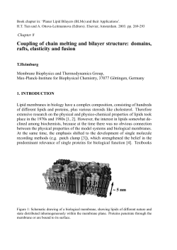 Coupling of chain melting and bilayer structure: domains, rafts
