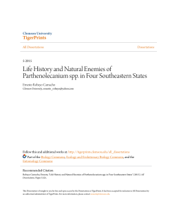 Life History and Natural Enemies of Parthenolecanium
