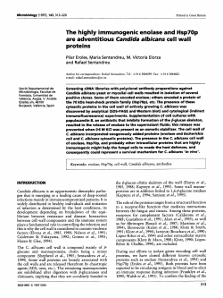 The highly immunogenic enolase and Hsp7Op are