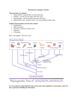 Characteristics of Animals: &bull; Multi-cellular