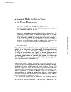 A Stochastic Model for Discrete Waves in the Limulus Photoreceptor