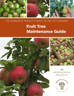 Fruit Tree Maintenance Guide