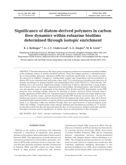 Significance of diatom-derived polymers in carbon flow dynamics