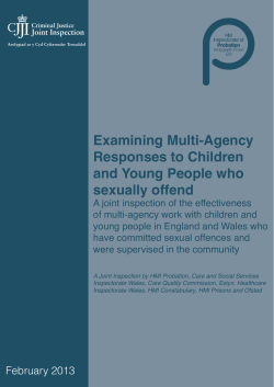 Examining Multi-Agency Responses to Children and Young