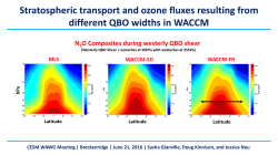 Stratospheric transport and ozone fluxes resulting from different